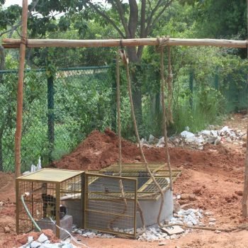 Early Days Well For Pujas